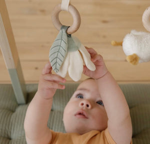 Little Dutch wooden baby gym